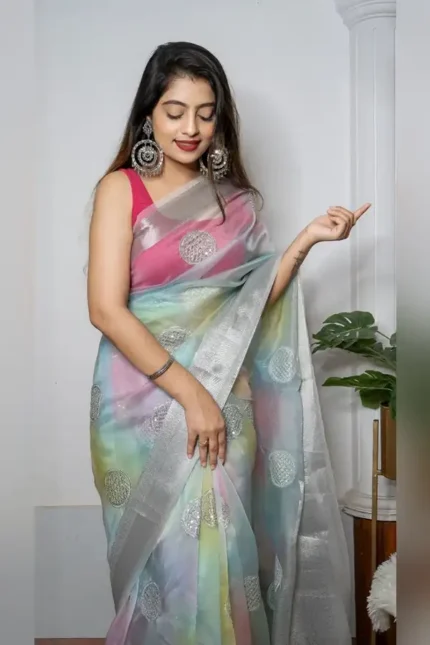 Organza weaving border Silk Saree With embroidery Work.