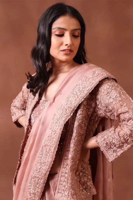 organza saree